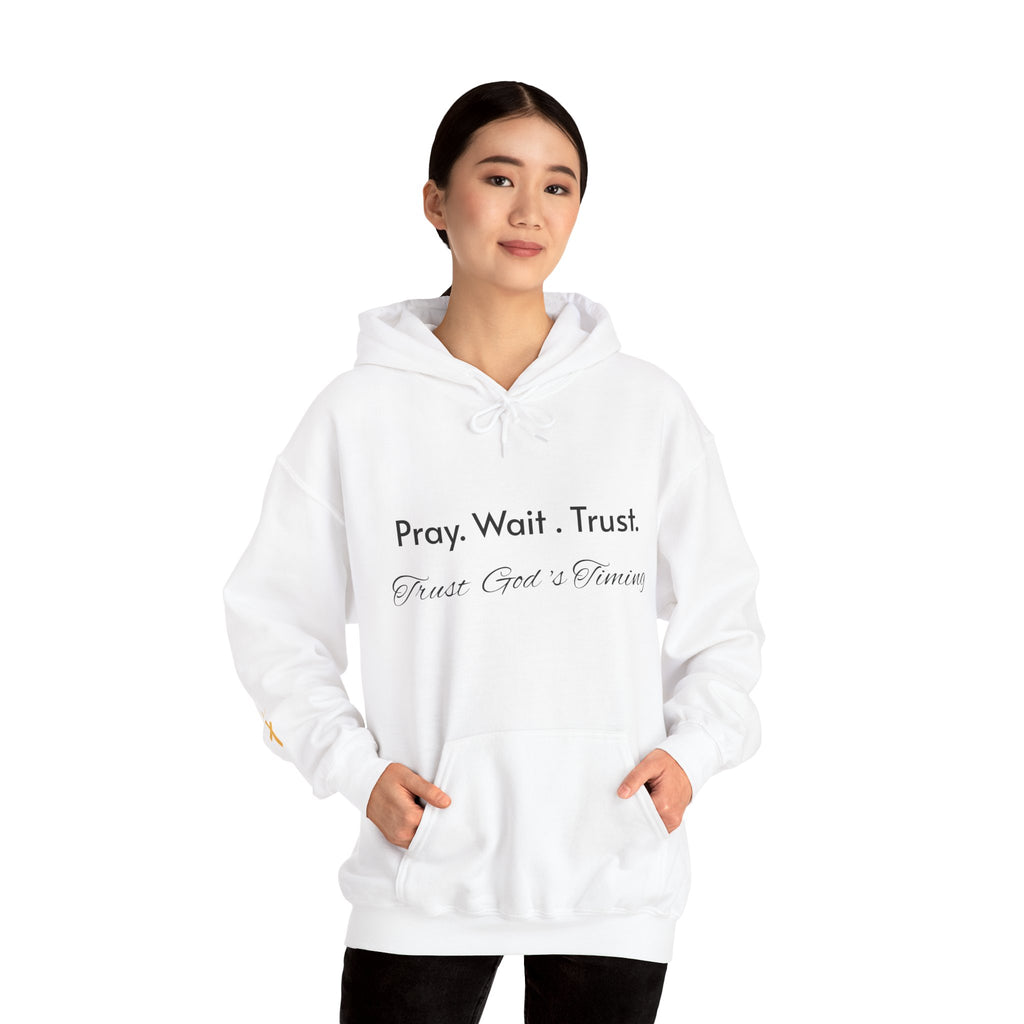 Pray. Wait. Trust. Faith Hoodie