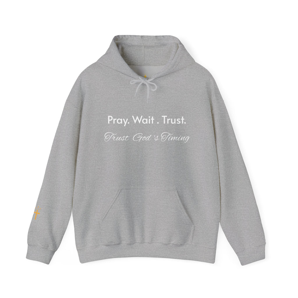 Pray. Wait. Trust. Faith Hoodie
