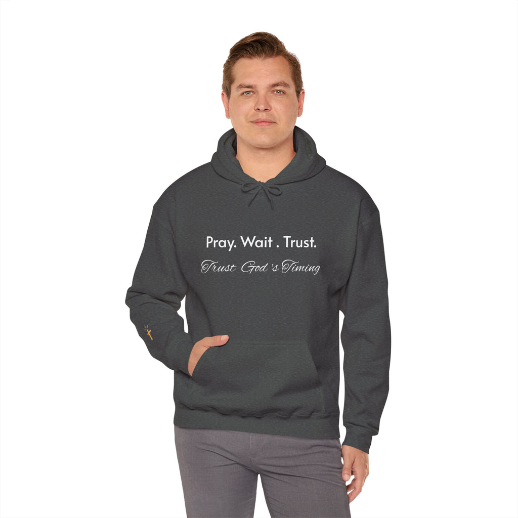 Pray. Wait. Trust. Faith Hoodie